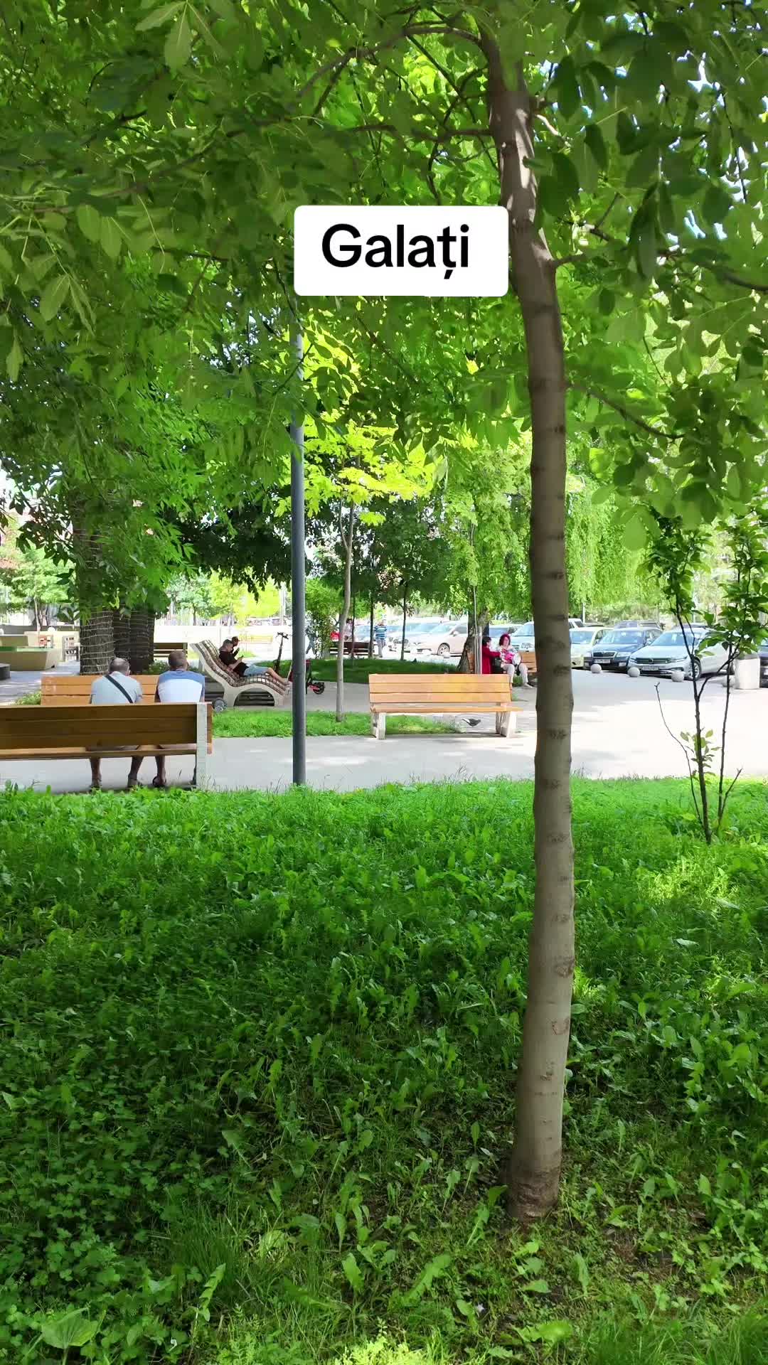@Ionut Pucheanu