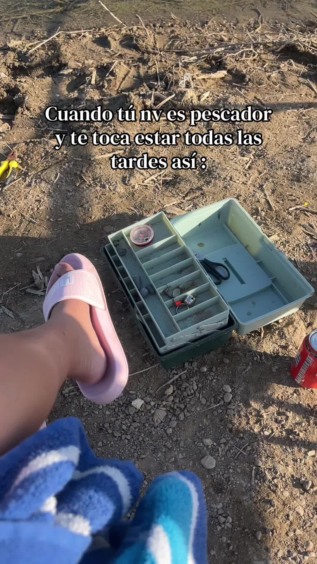 @nosoyyo😽