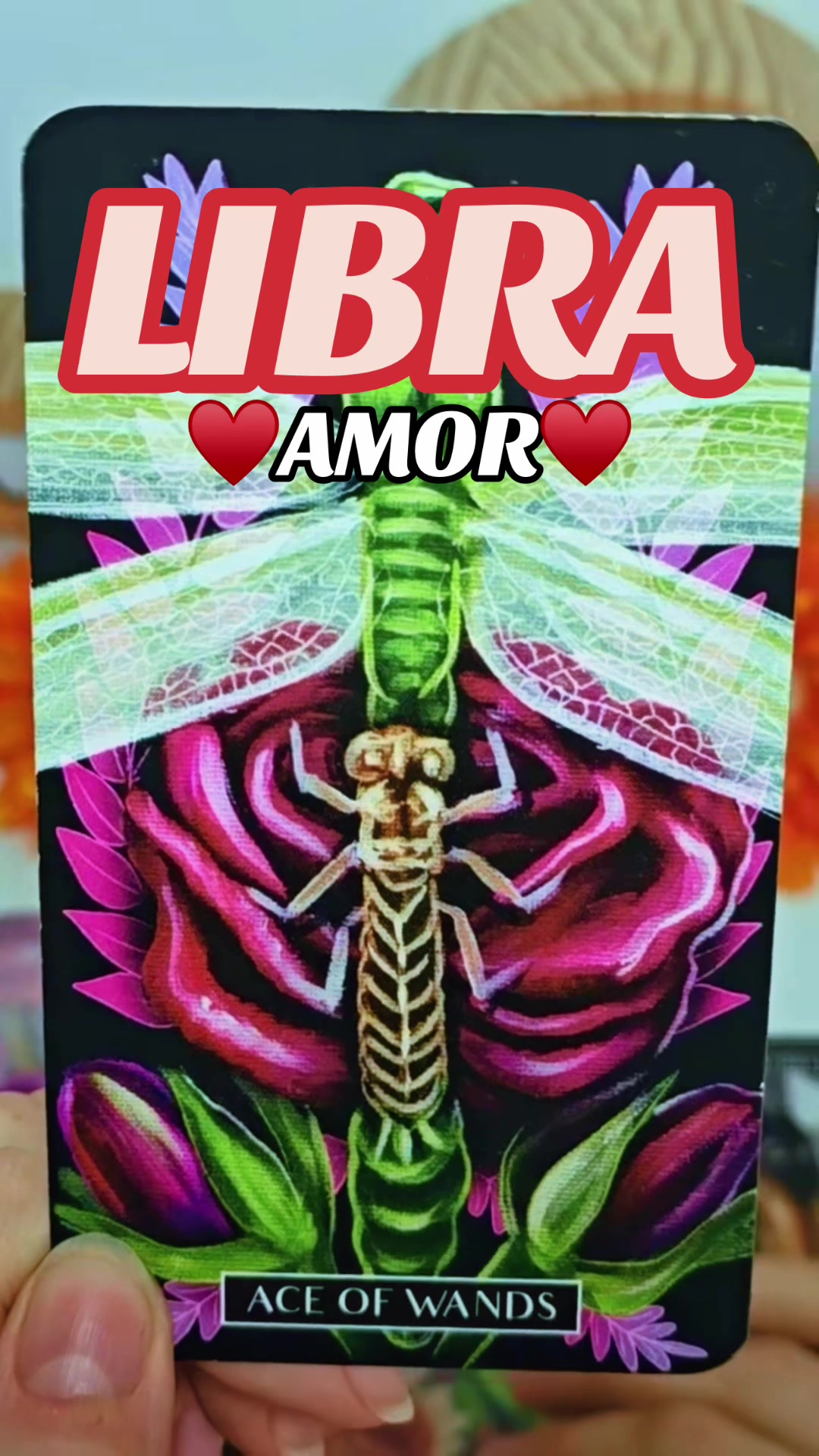 @Daniela Tarot