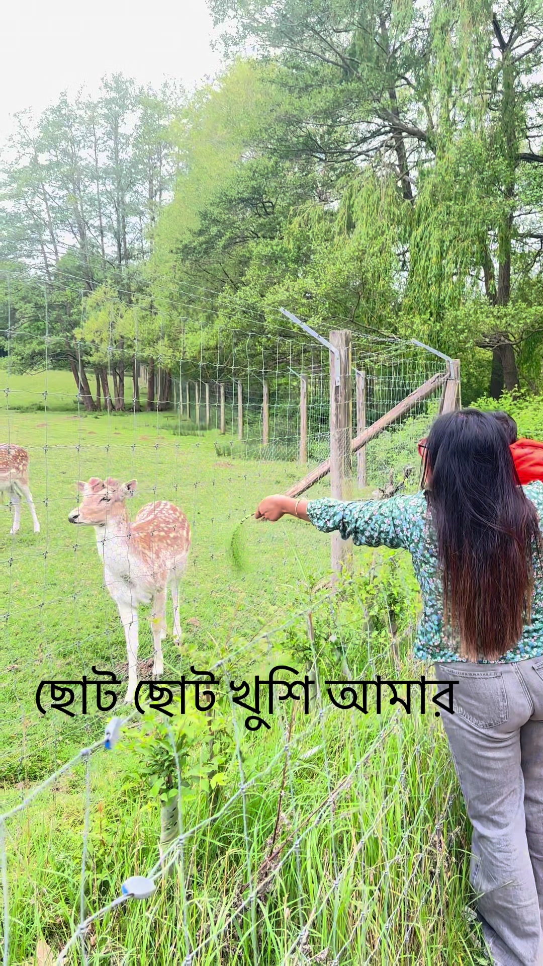 @Shathi _khanam