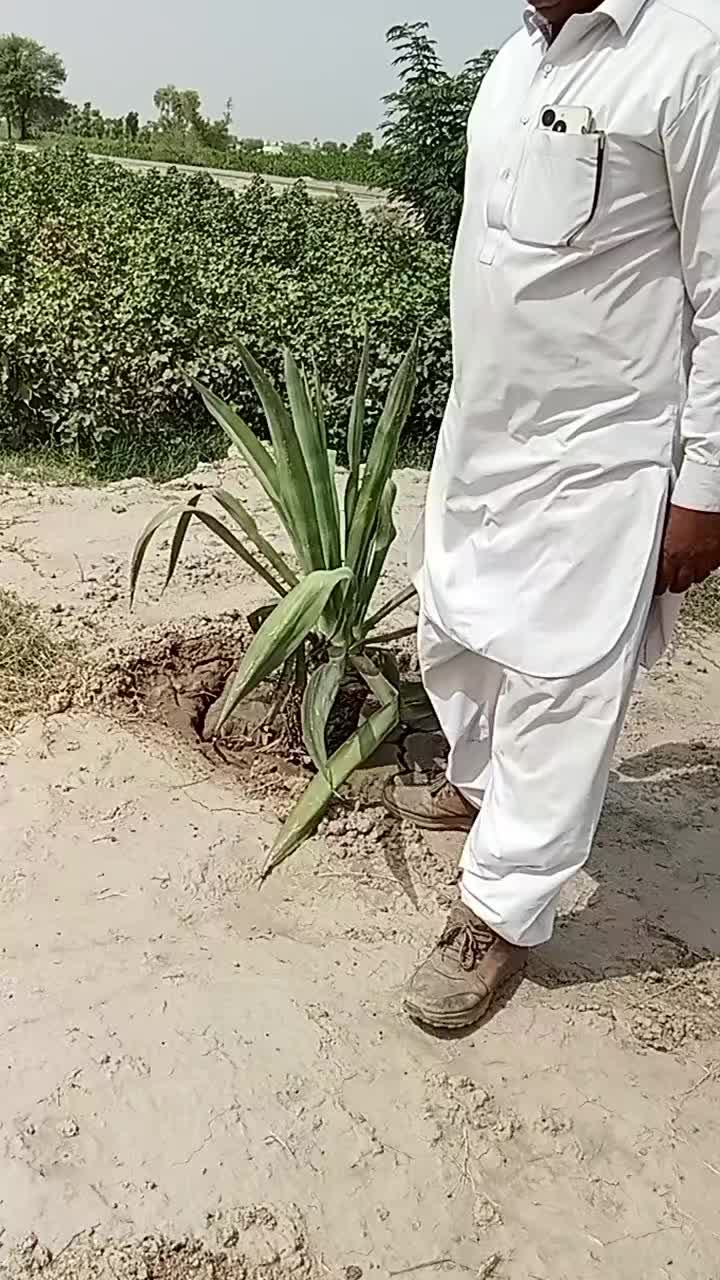 @jugnoo rajpoot 🦚