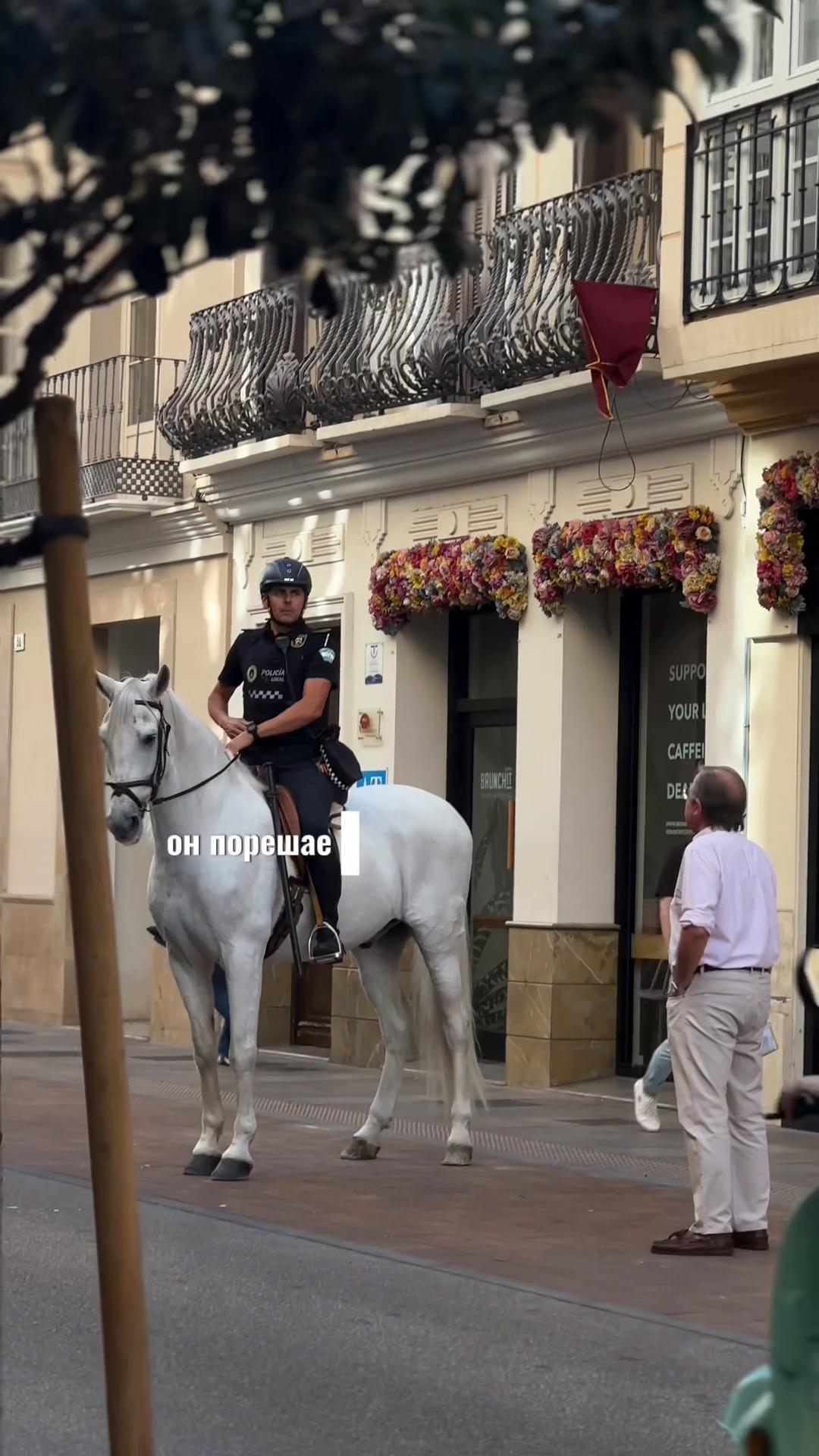 @Katrin Fox Spain
