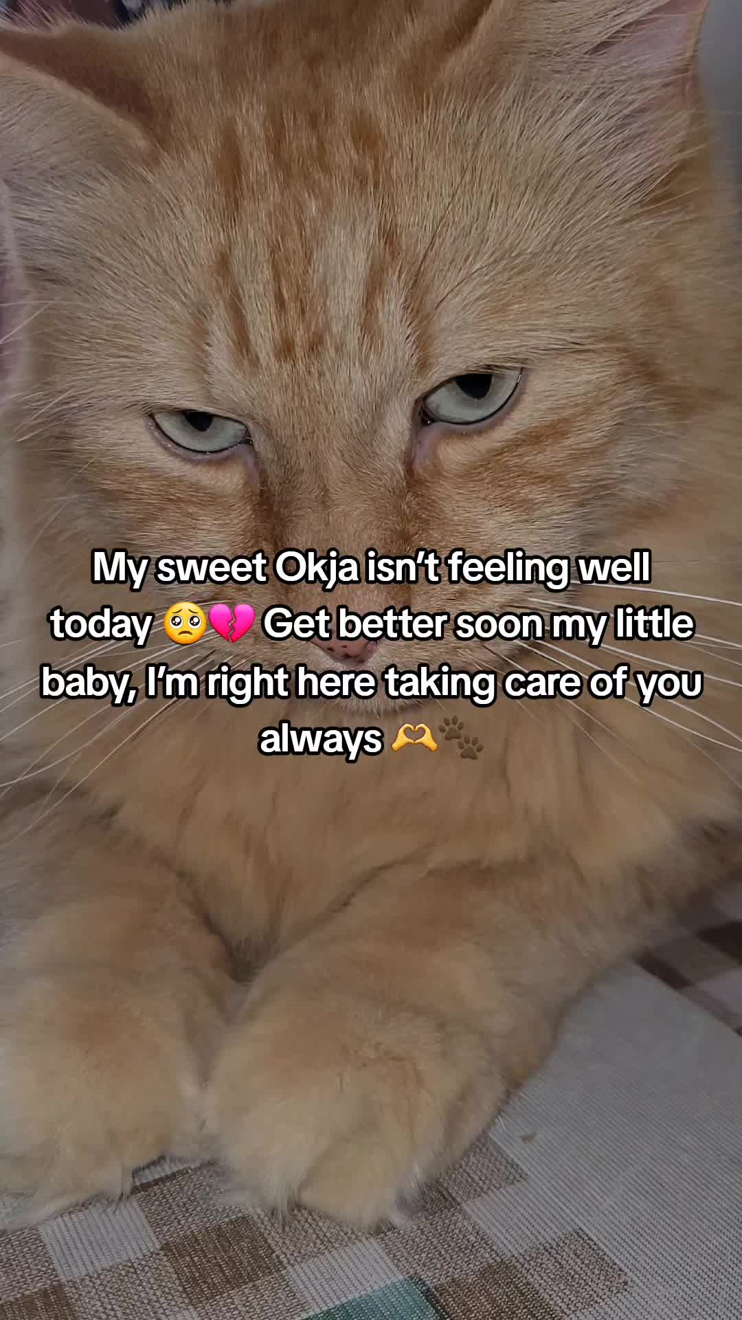 @LilyJa