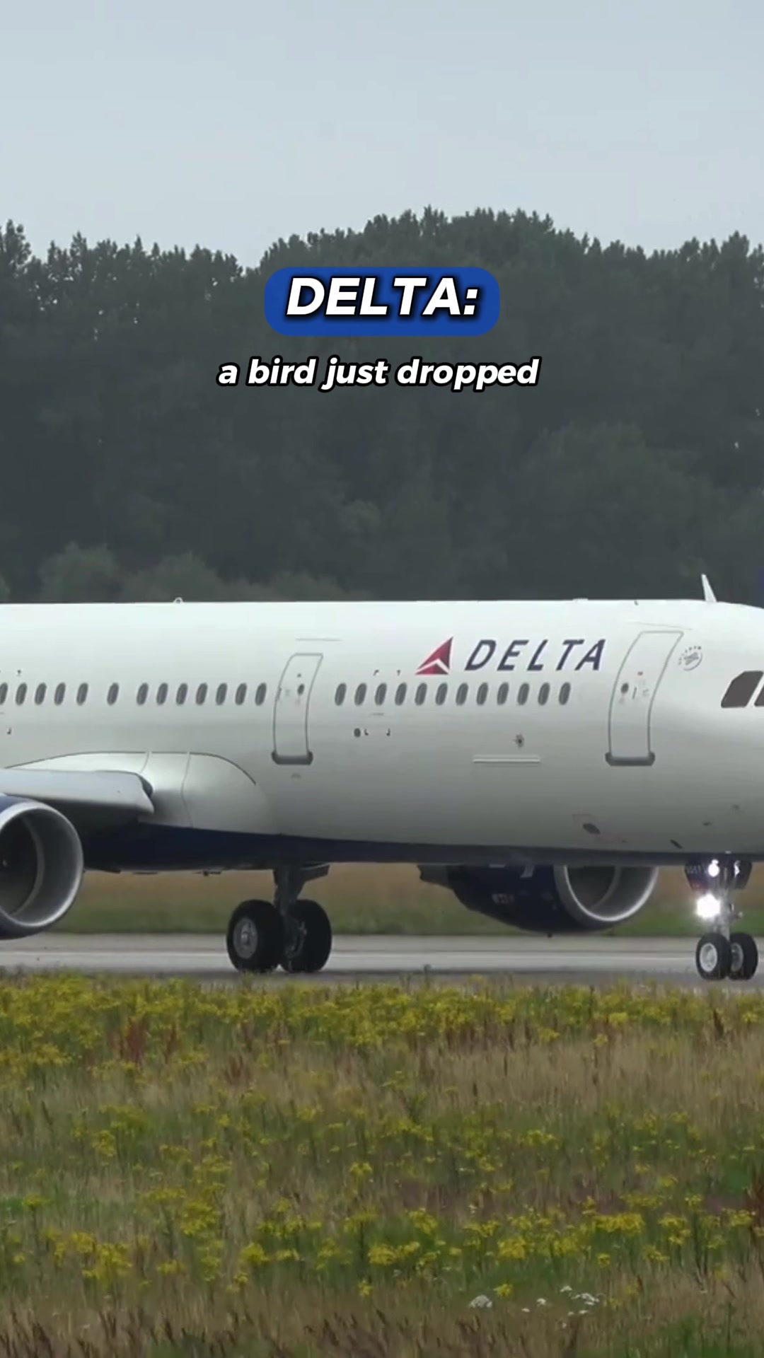 @RG✈️