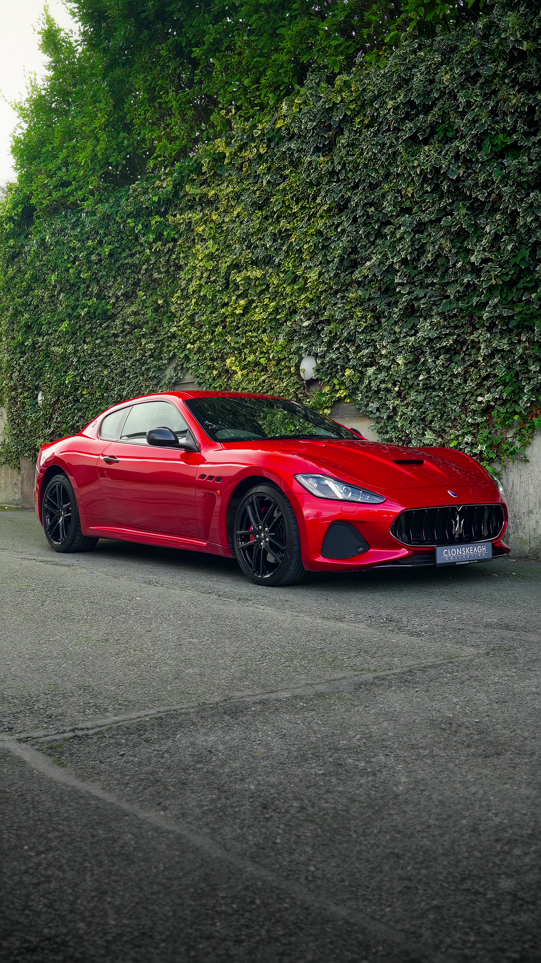 @Classic&Exotic