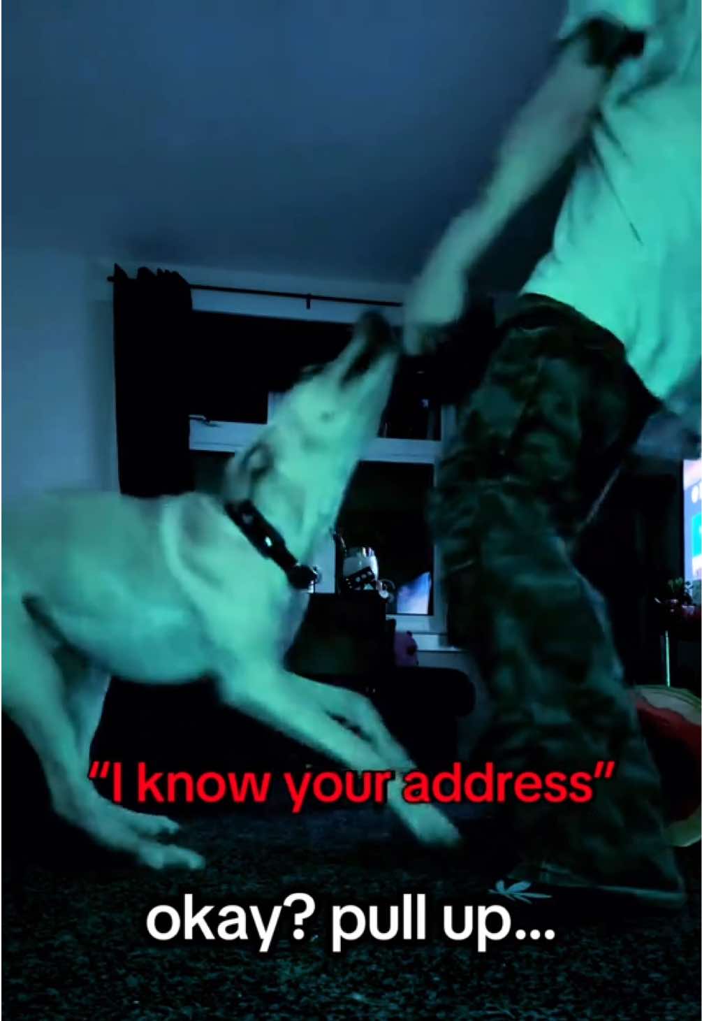 @☠︎ T̑̈ă̈t̑̈ĕ̈ ☠︎