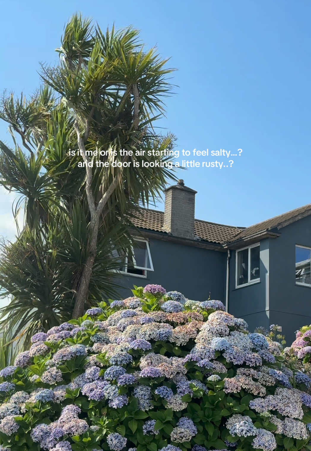 @Izzy Collingridge📖🌞🦋