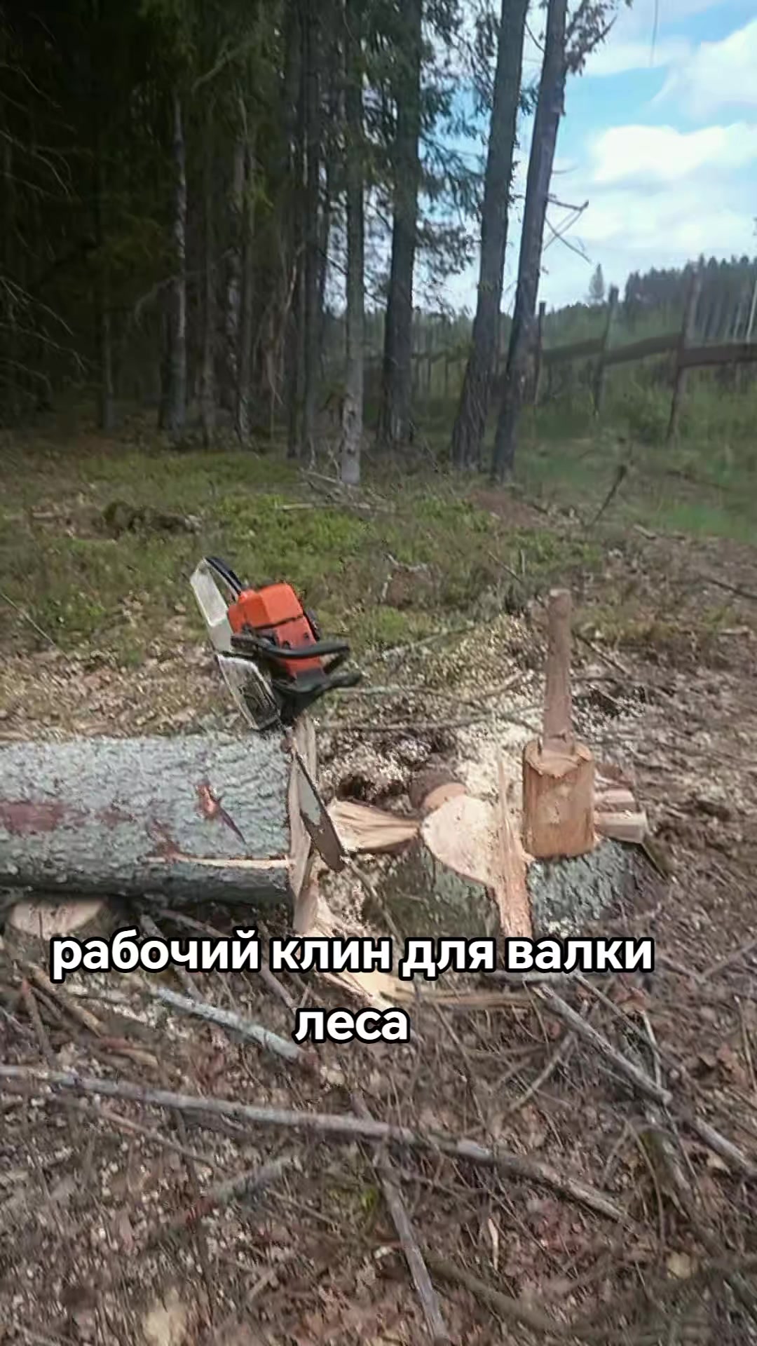 @В@ня