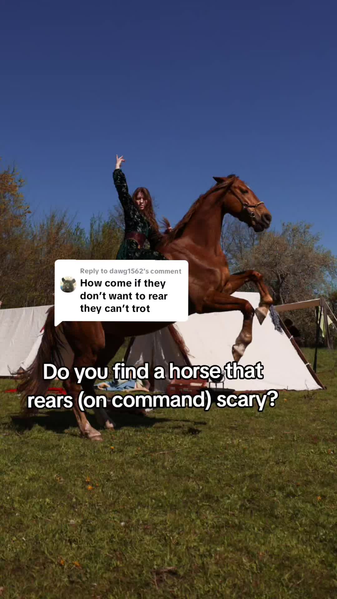 @Dino and horses