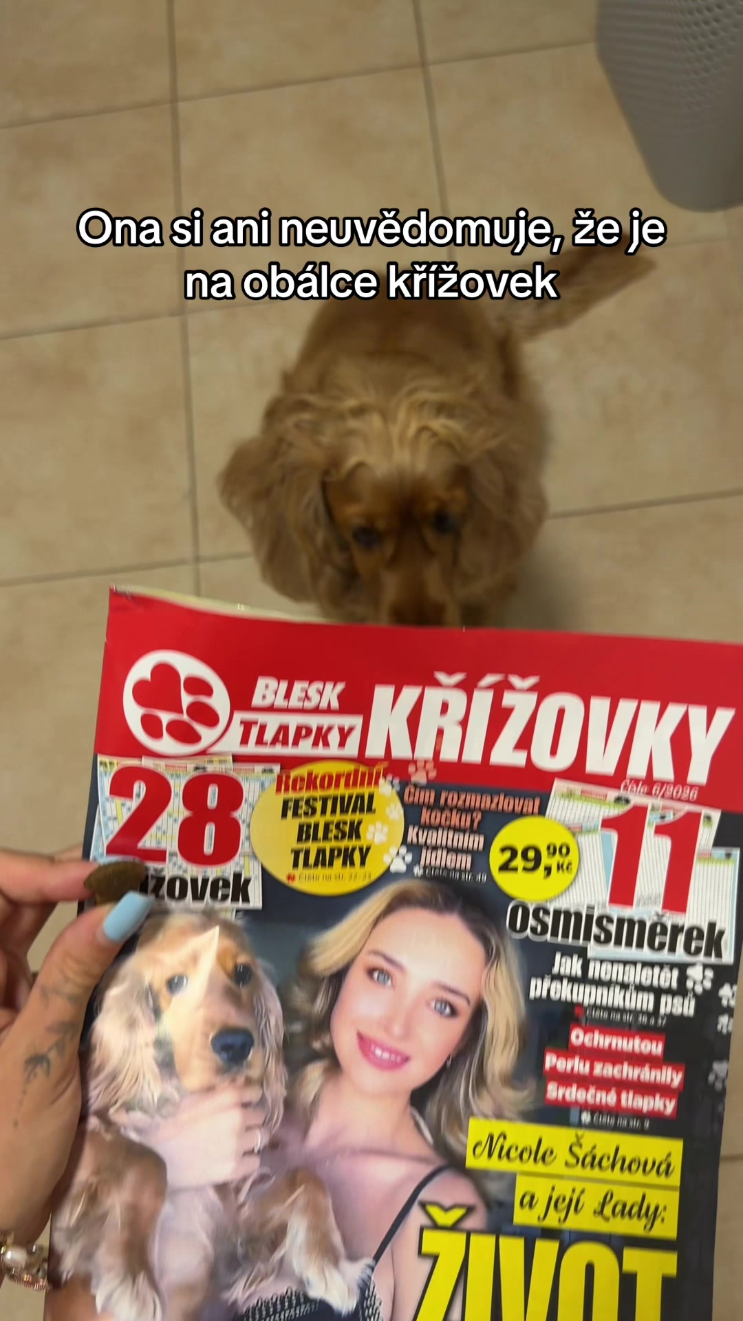@🎀 Nicole Šáchová 🎀
