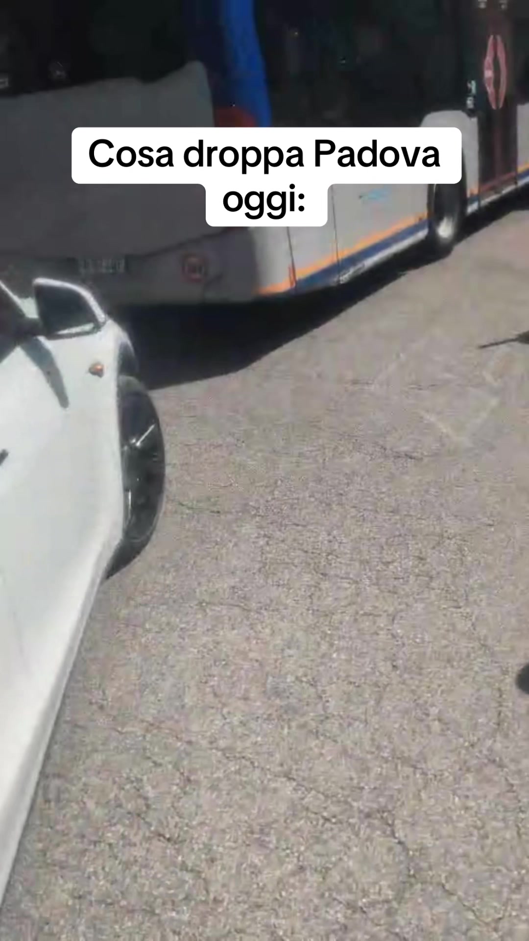 @Ayoub.gz