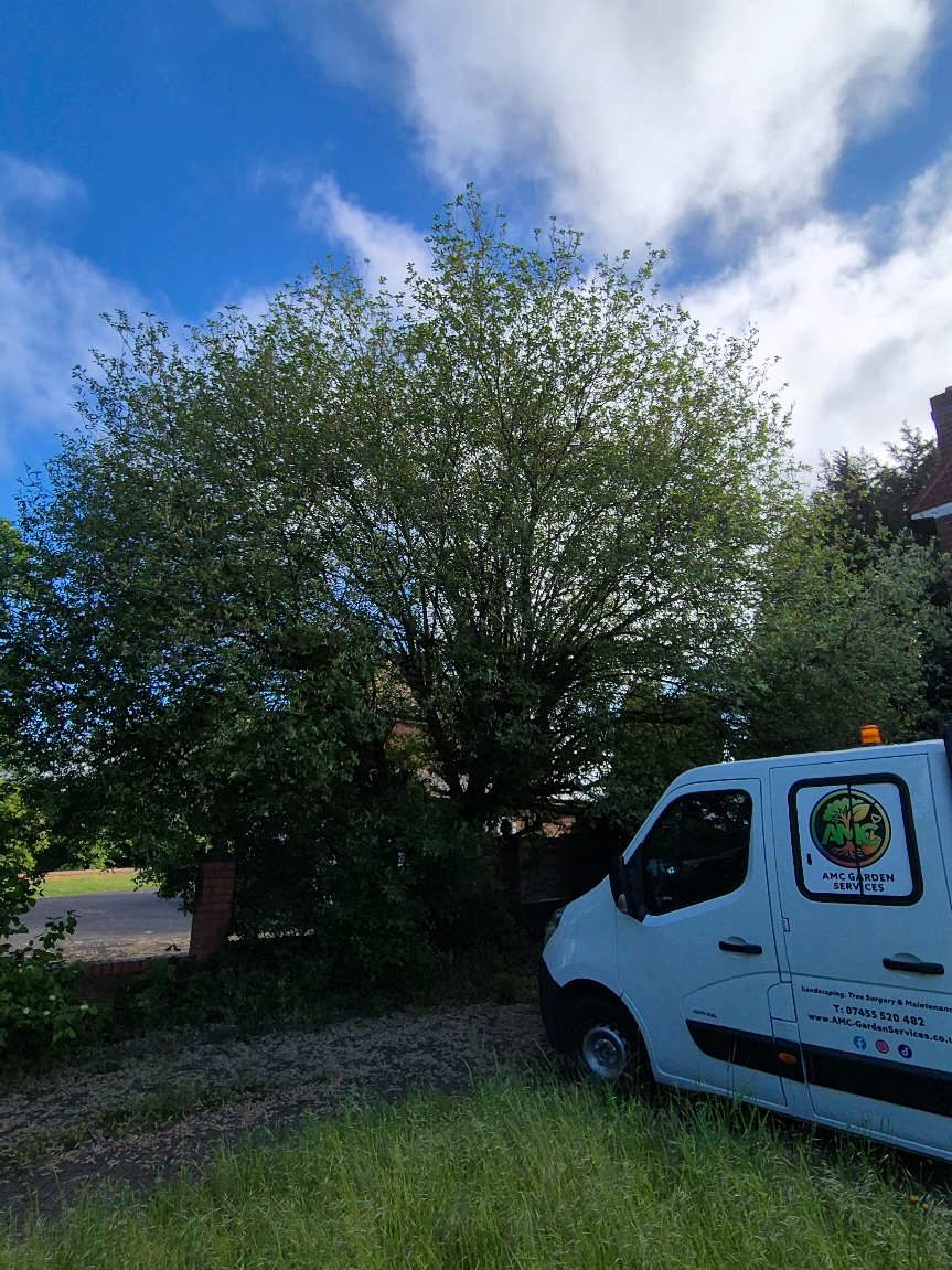 @AMC Garden Services