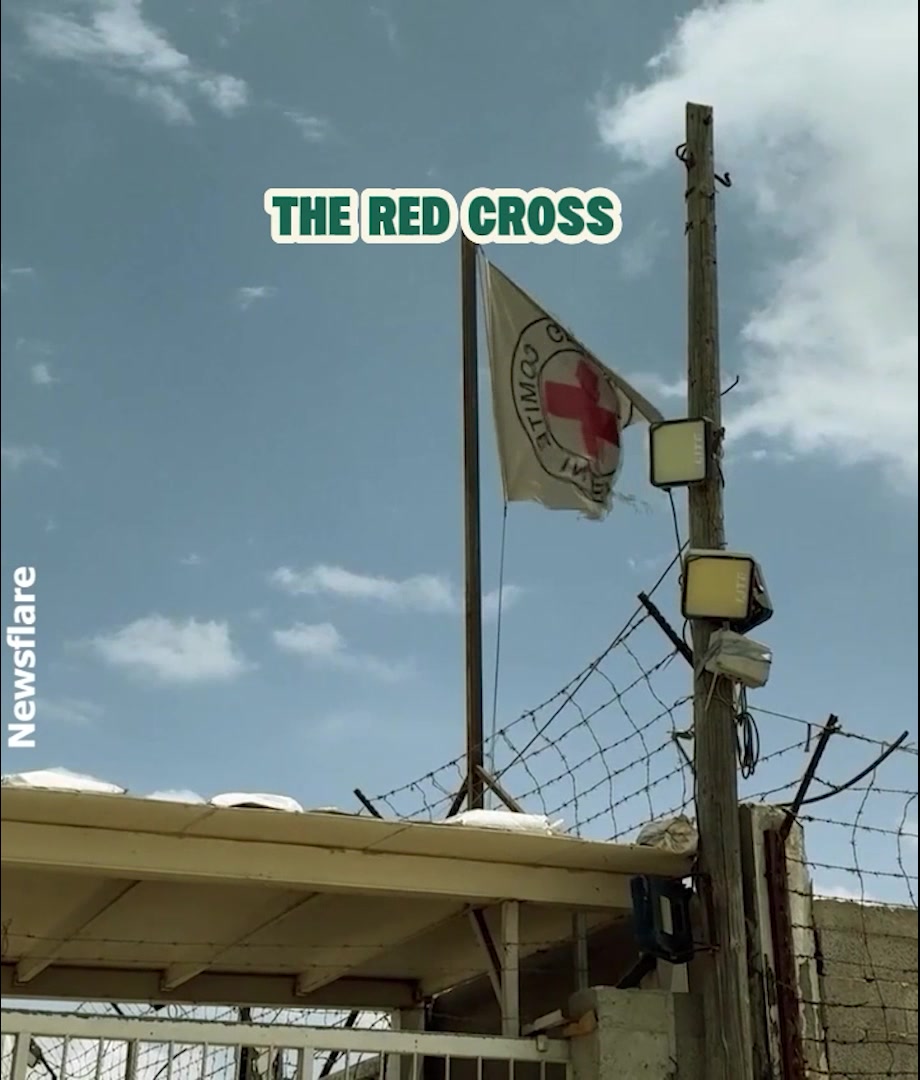 @realvoices.tv