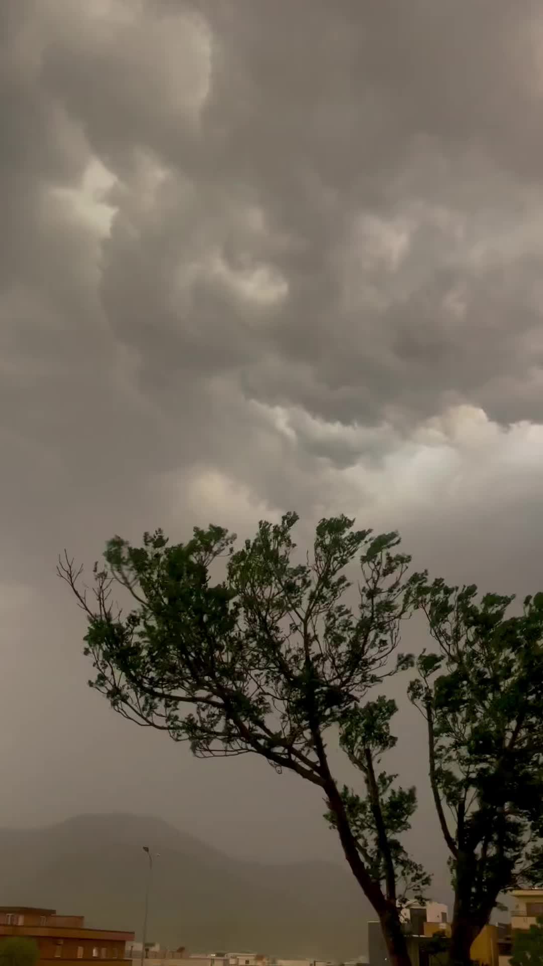 @Islamabad_view🎋