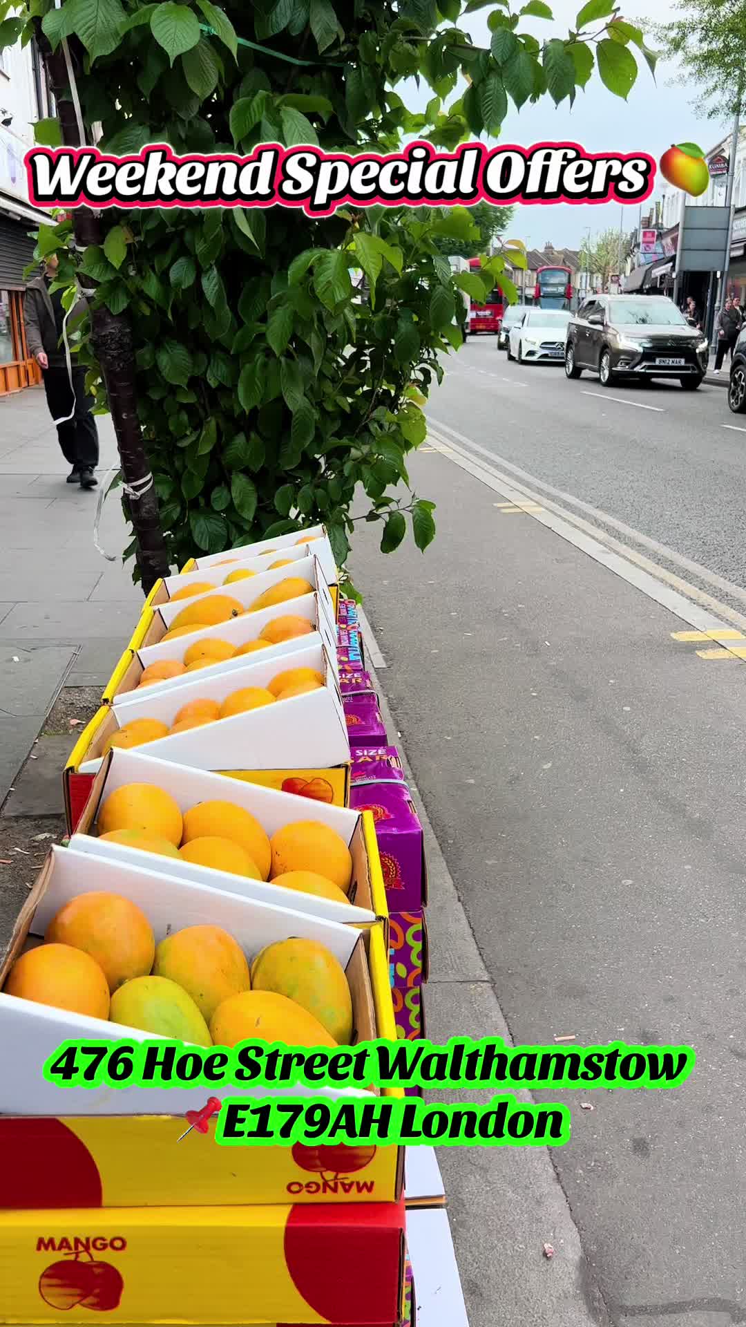 @Mango Man🥭
