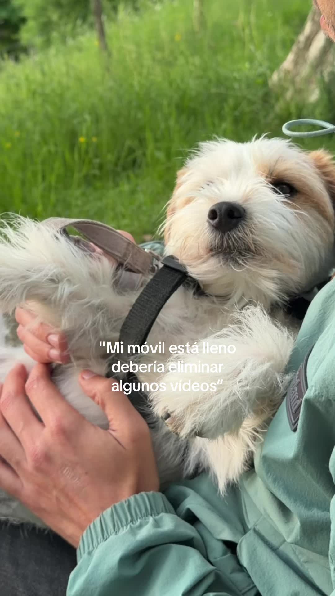 @Yuki