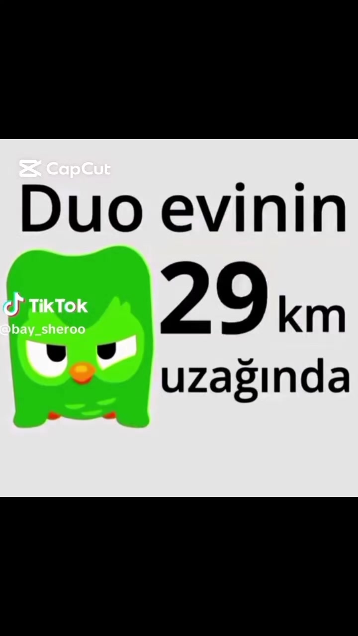 @zebzo_pvz