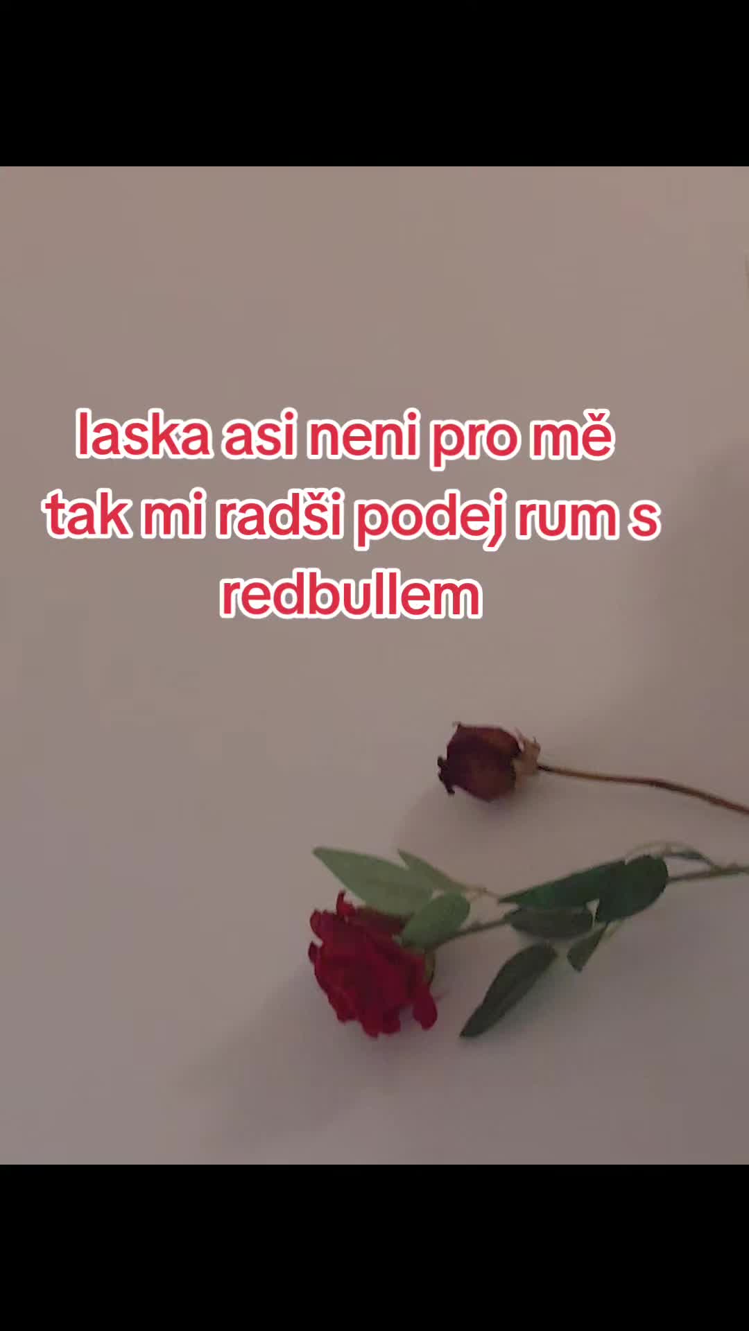 @_pajina_zmrde🦈