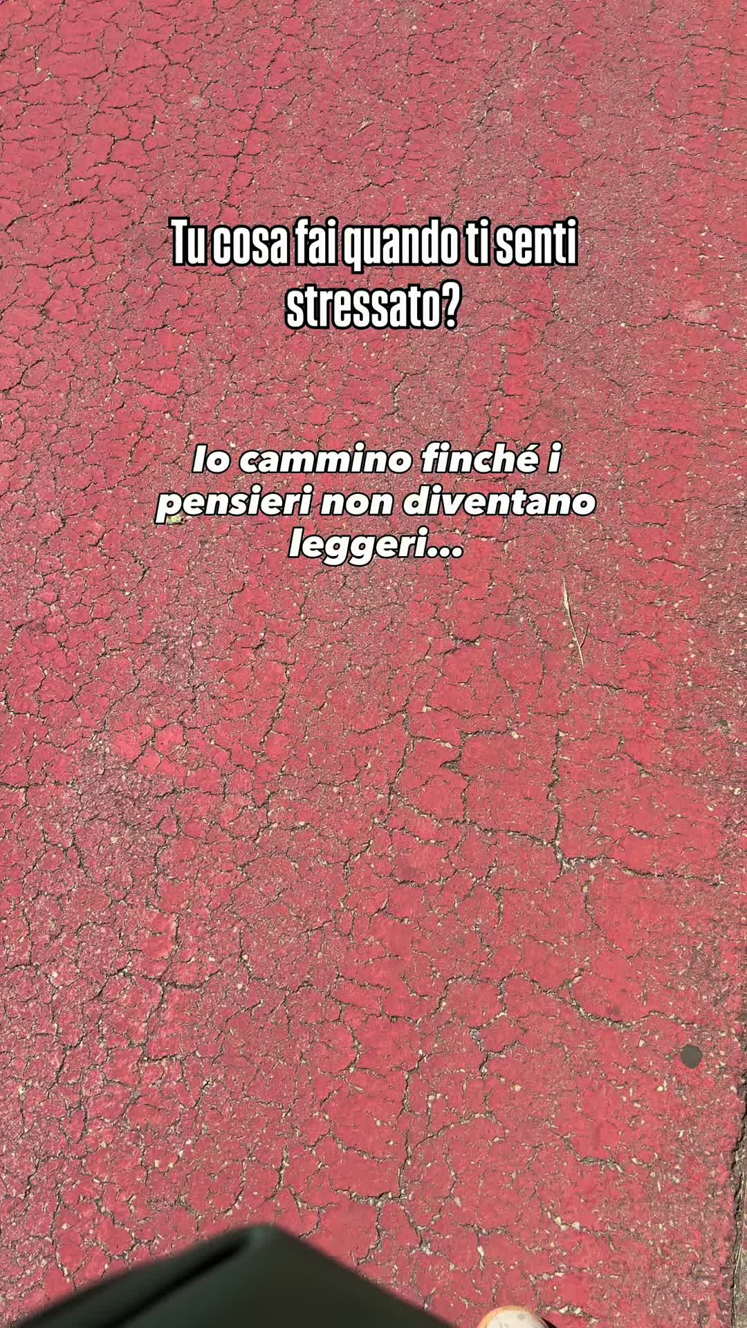 @blandi_e_basta