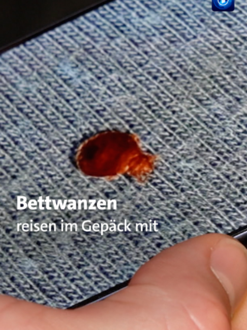 @tagesschau