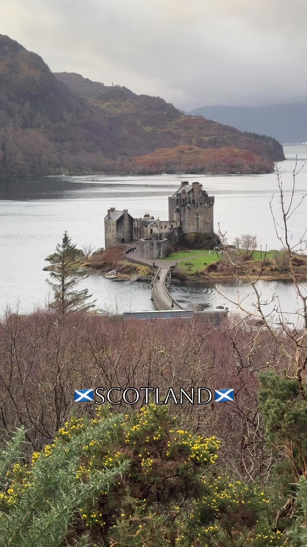 @Emily In Scotland