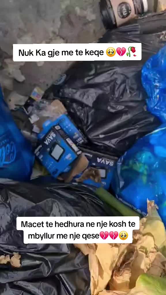@Djali asaj vajze pergjimon E❤️