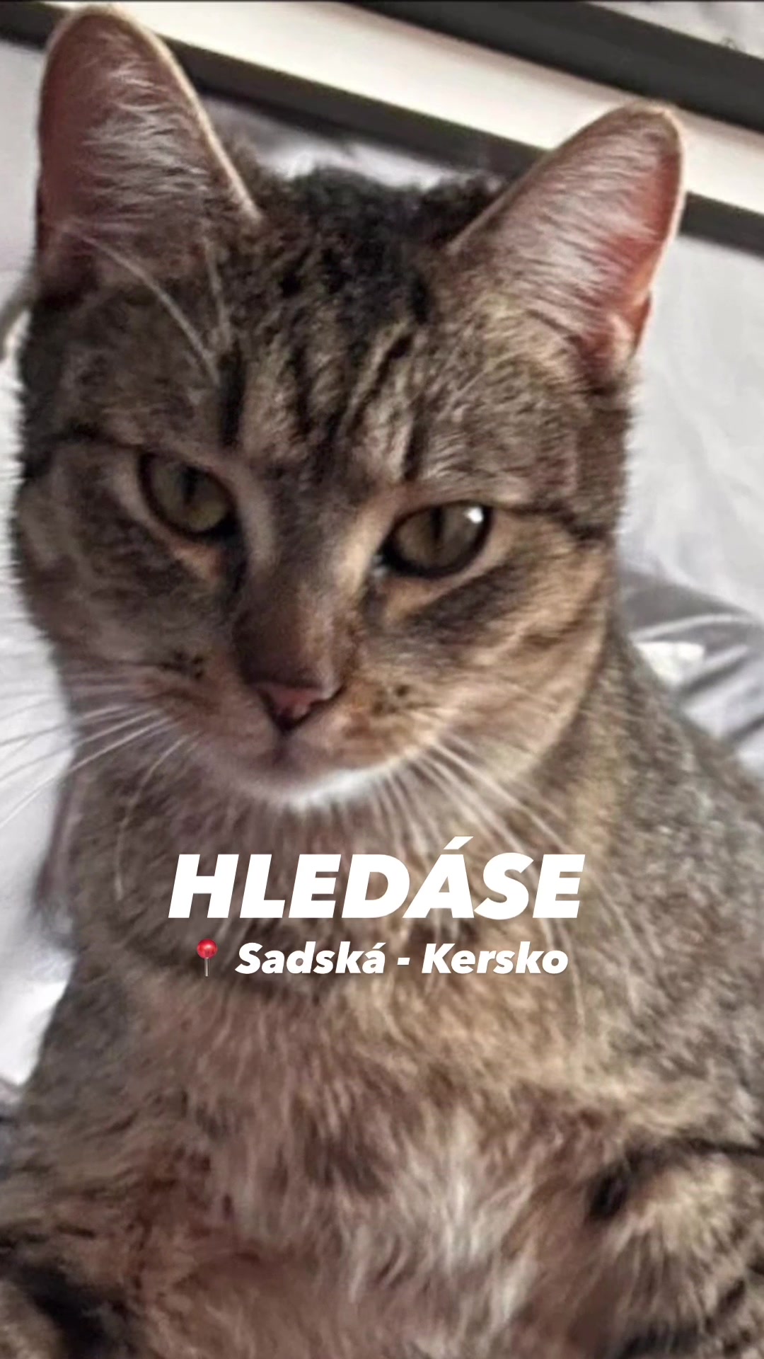 @Tereza - Srdce z jeřabin