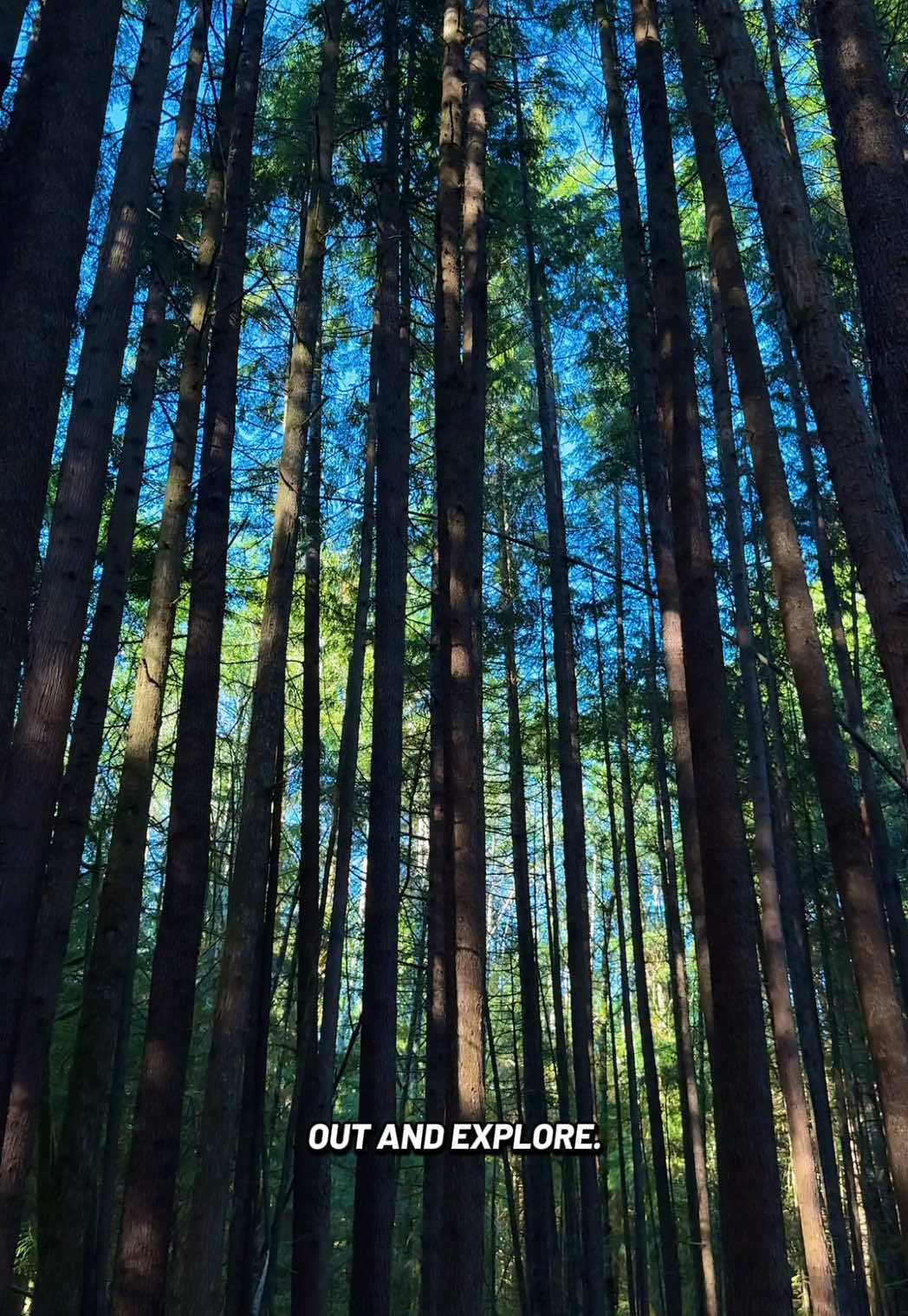 @Super, Natural BC
