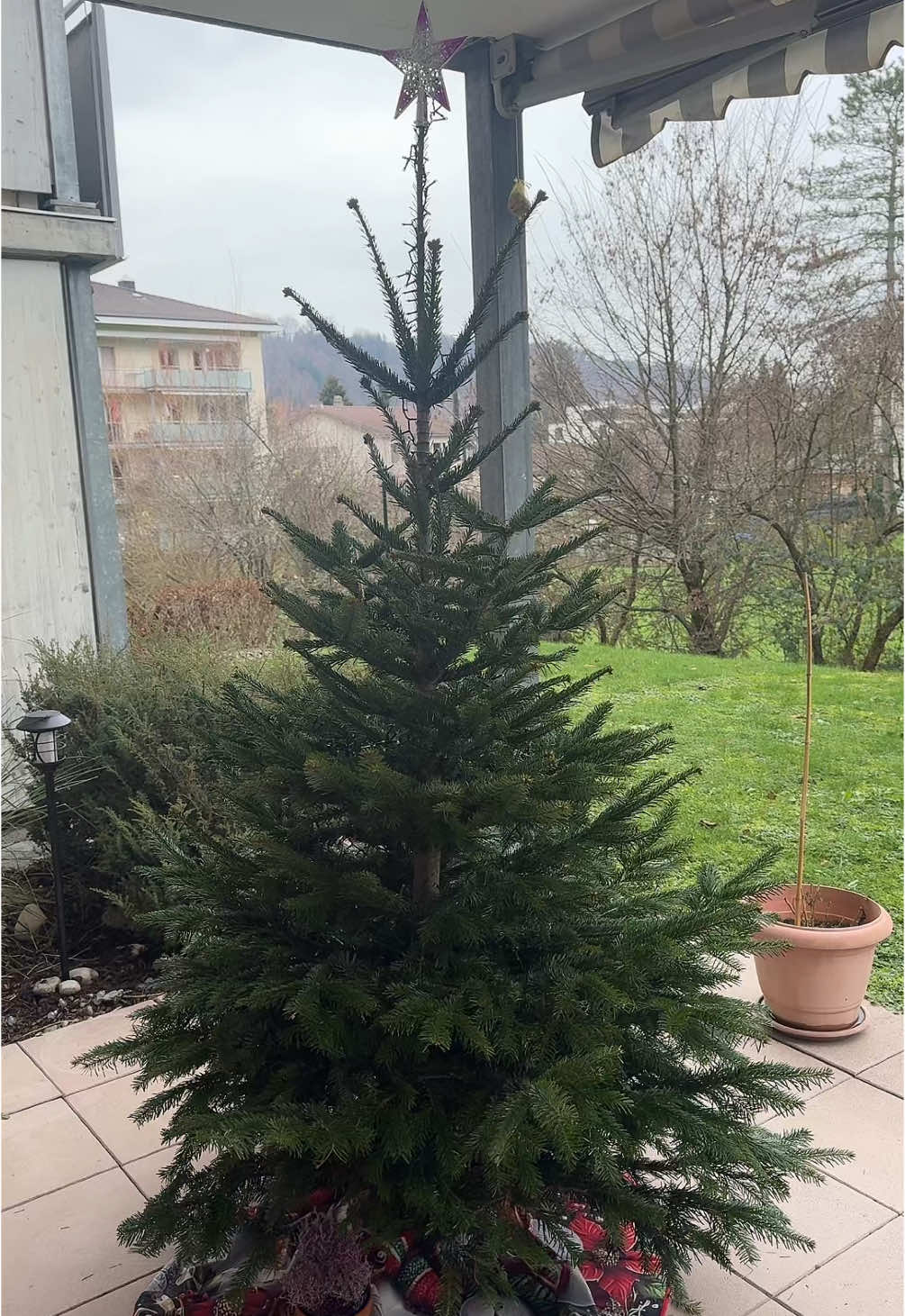 @hörnchen1987🥐