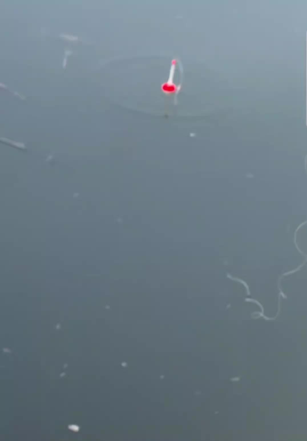 @fishing