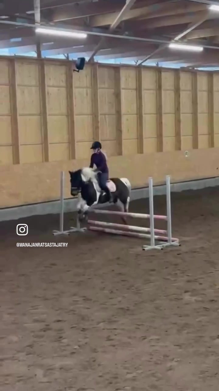 @Koivuniemen talli 🦄