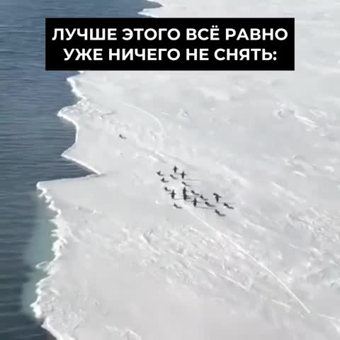 @Z_offiziell✓