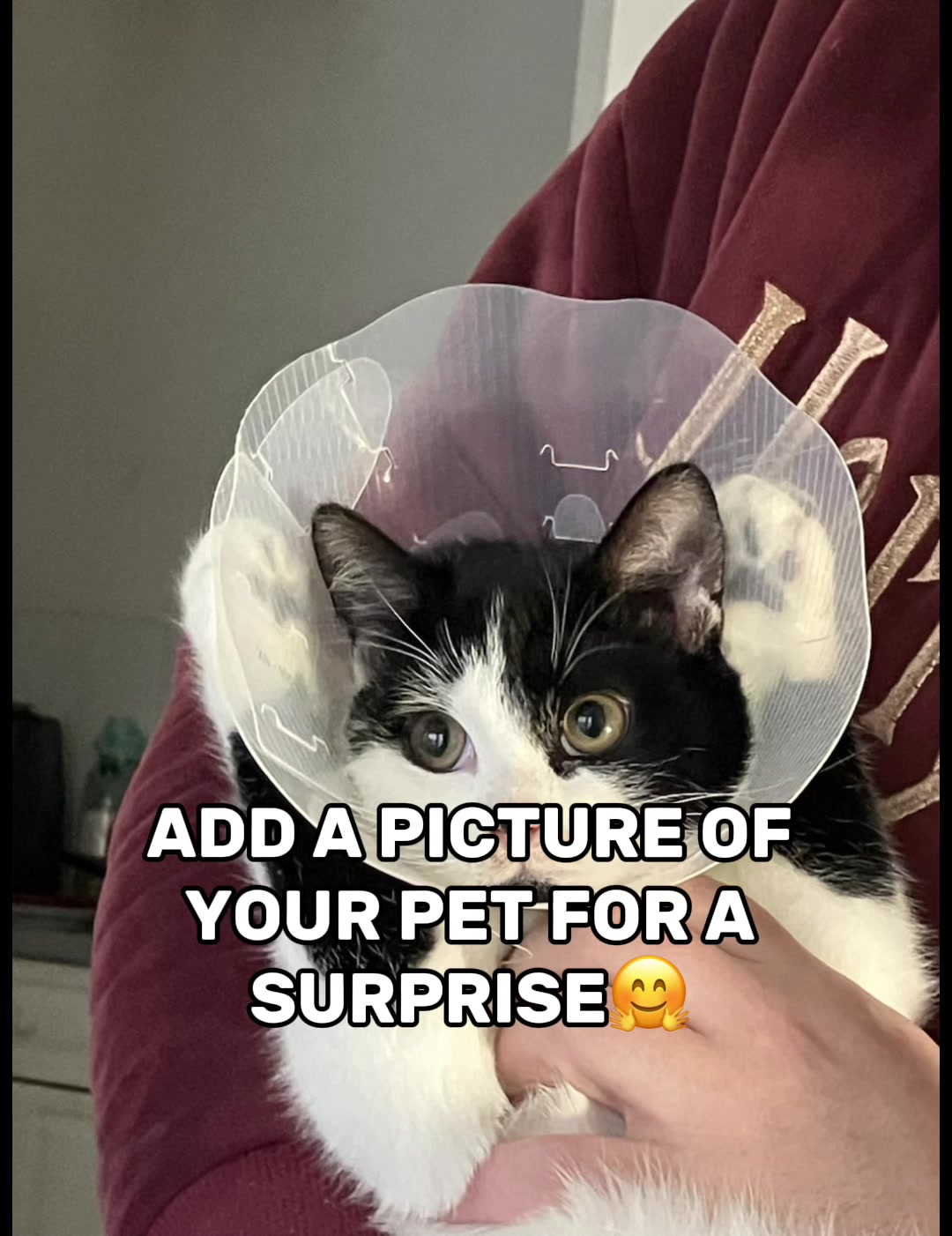 @Cutesneezer