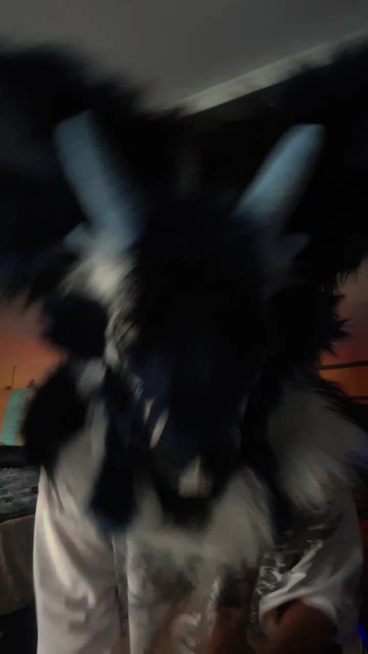@𝔛𝔢𝔫𝔞⋆♱