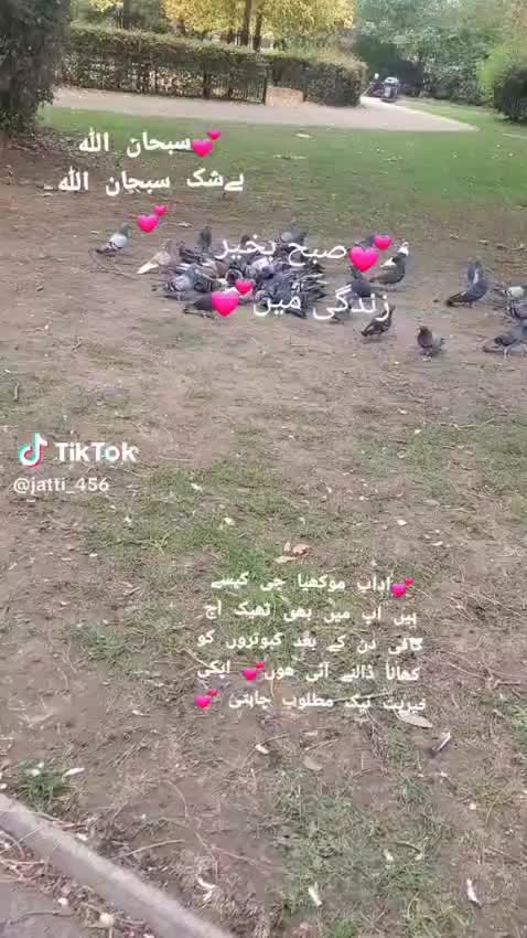 @NAR🌹RANI