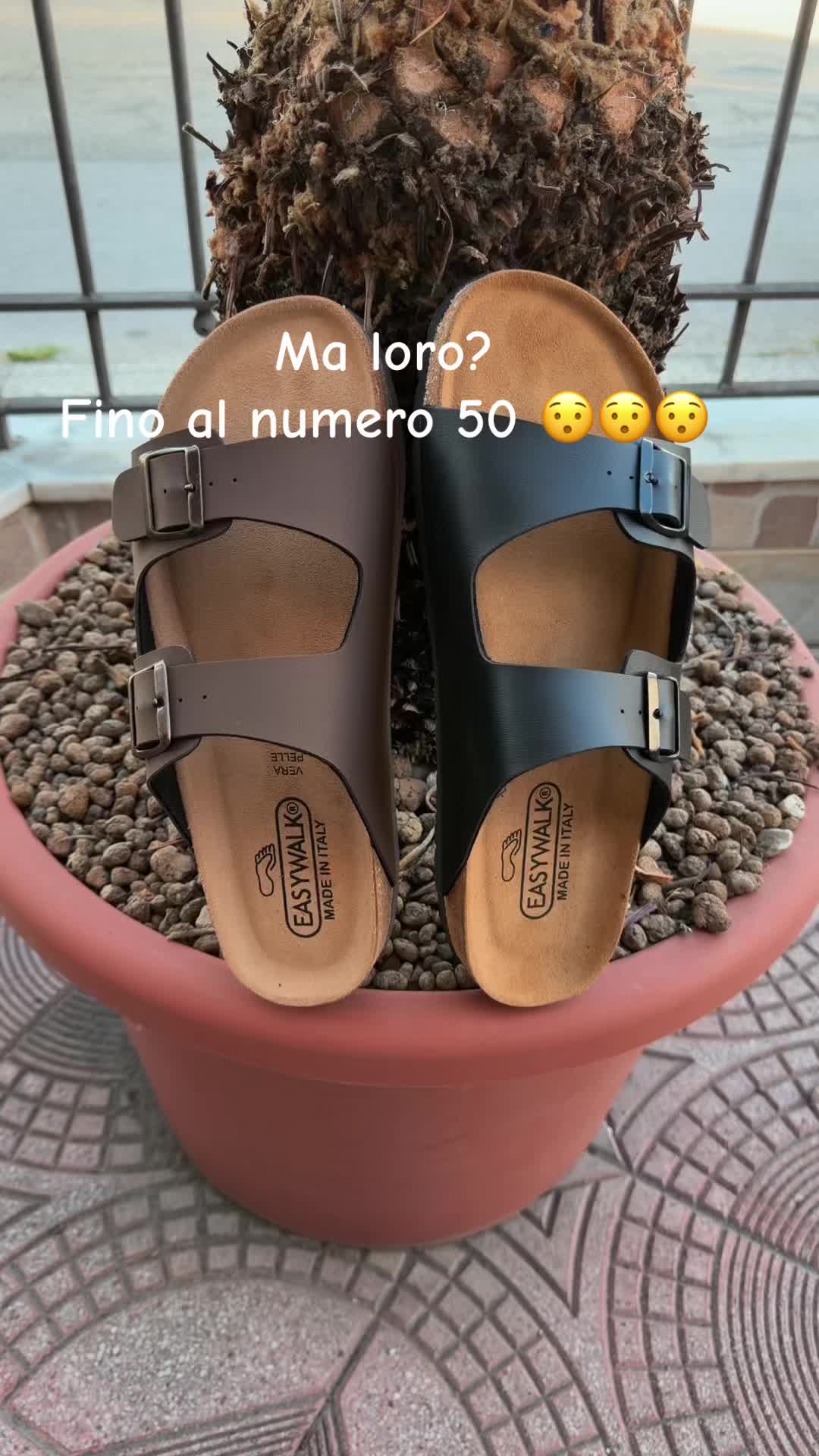 @La Gatta Shoes