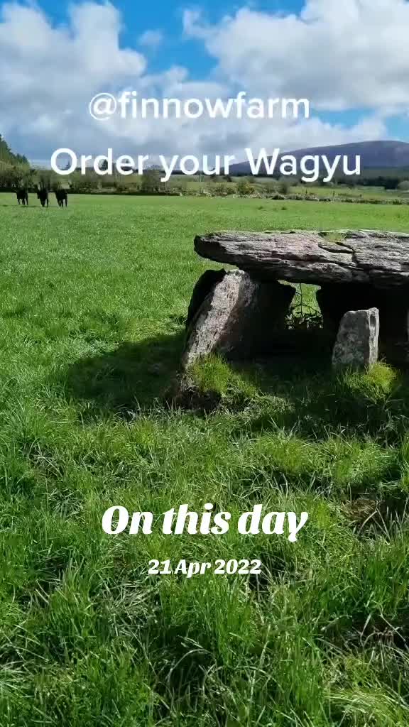 @finnowfarm