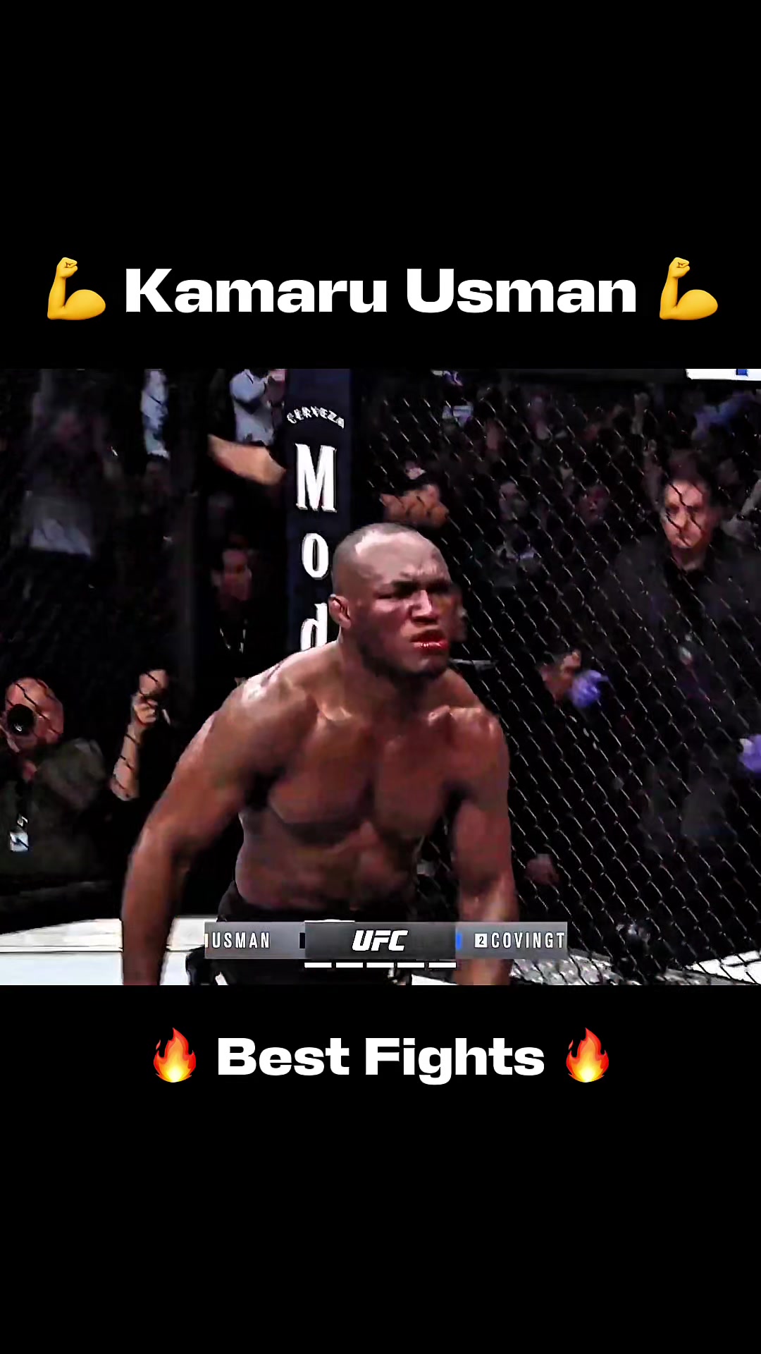 @FIGHT TOK