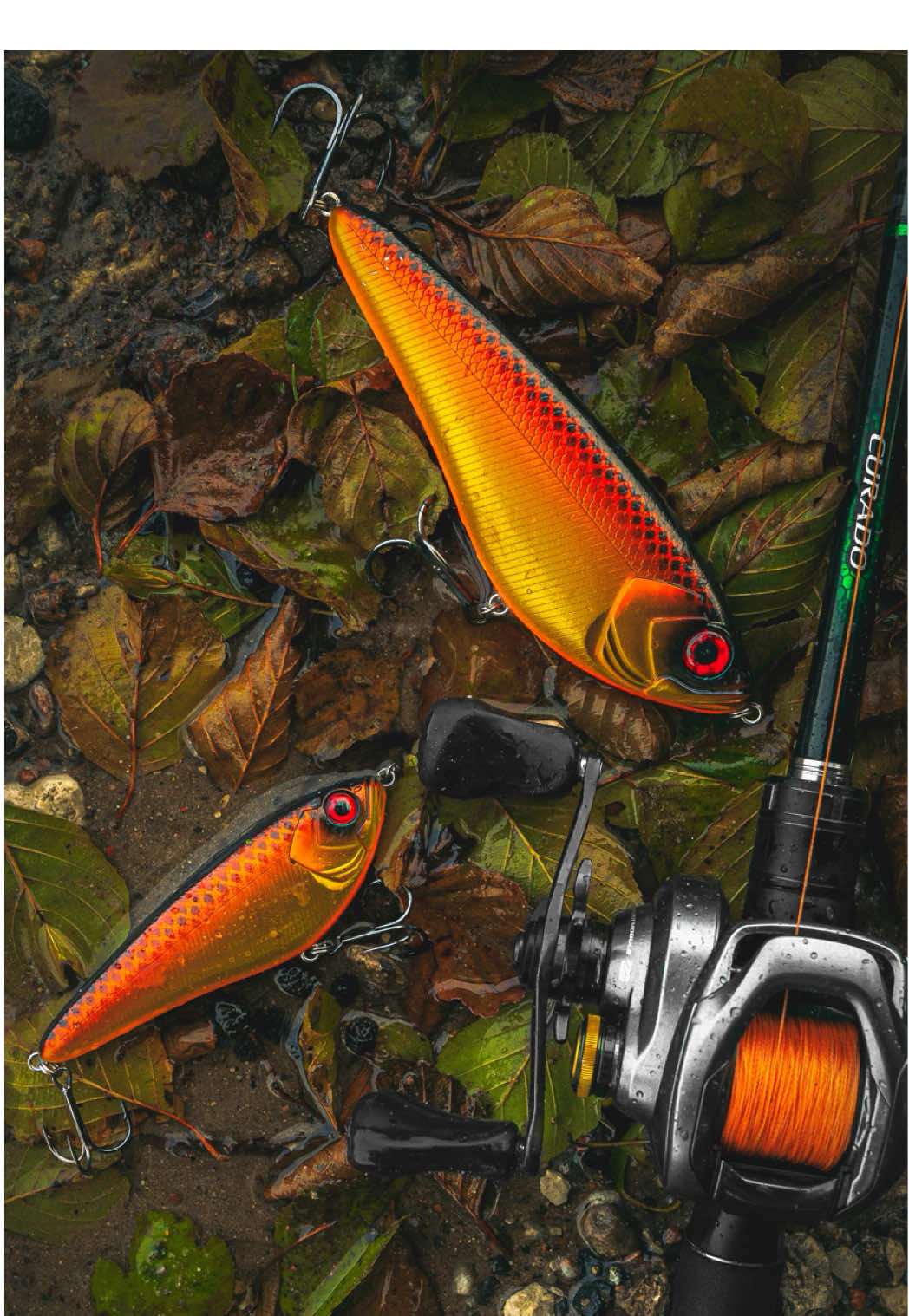 @robertmajewski.fishing