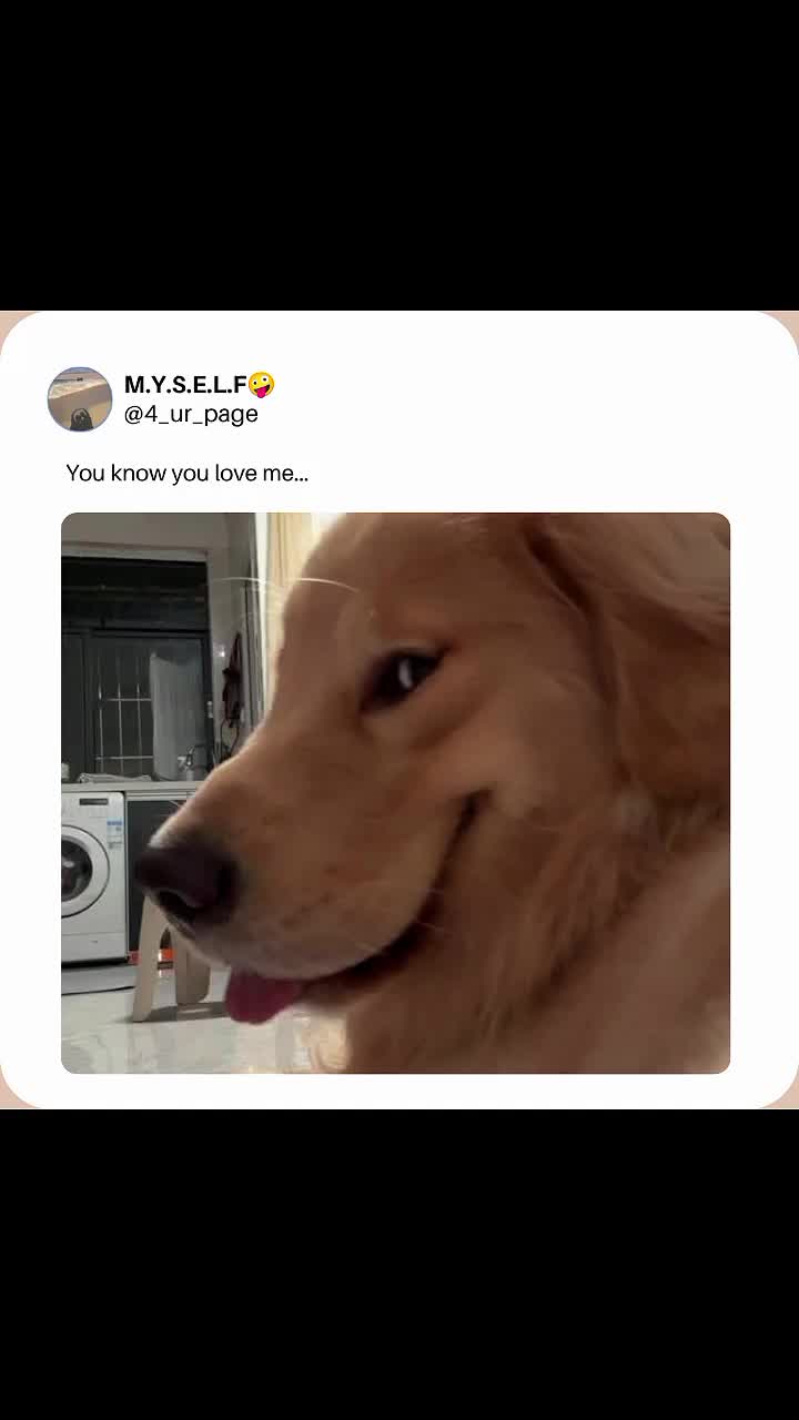 @M.Y.S.E.L.F🤪
