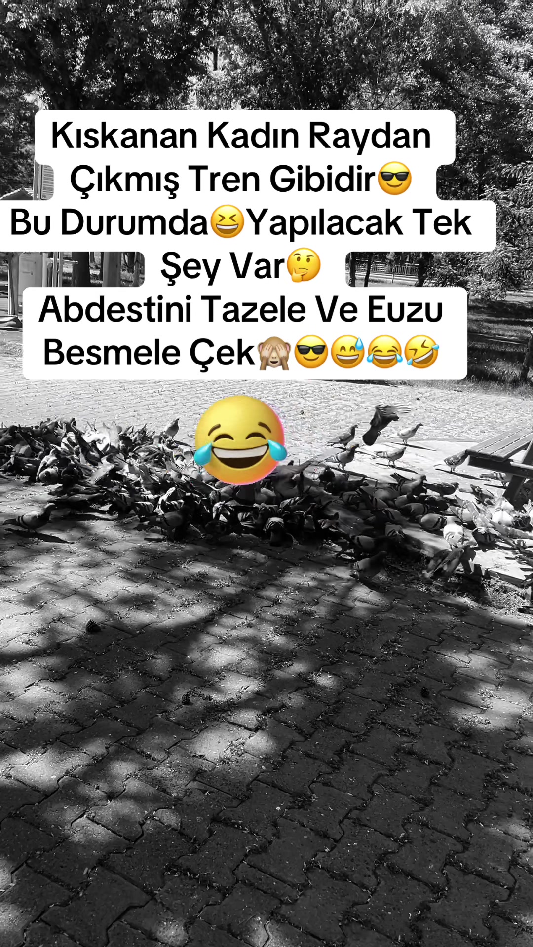 @✨🤍Ayliz_S🤍✨