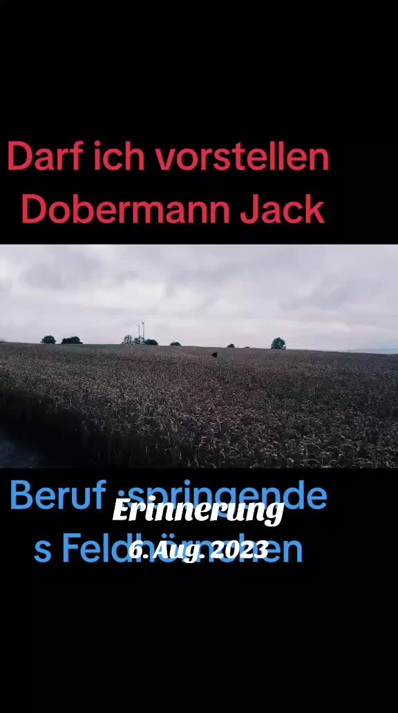 @🦊Rotfüchsin🦊