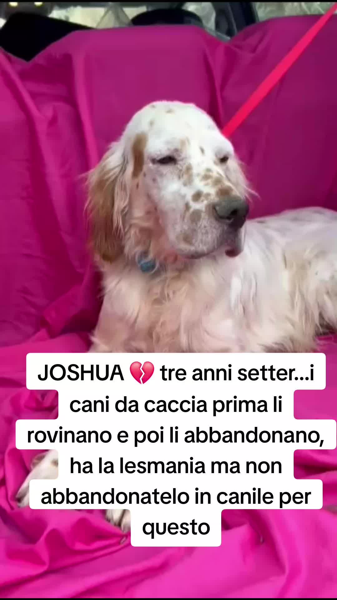 @Manuela