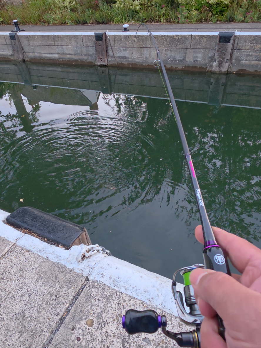 @BF Angler