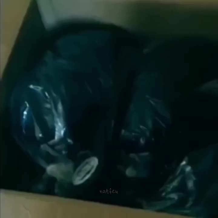 @Natfeu