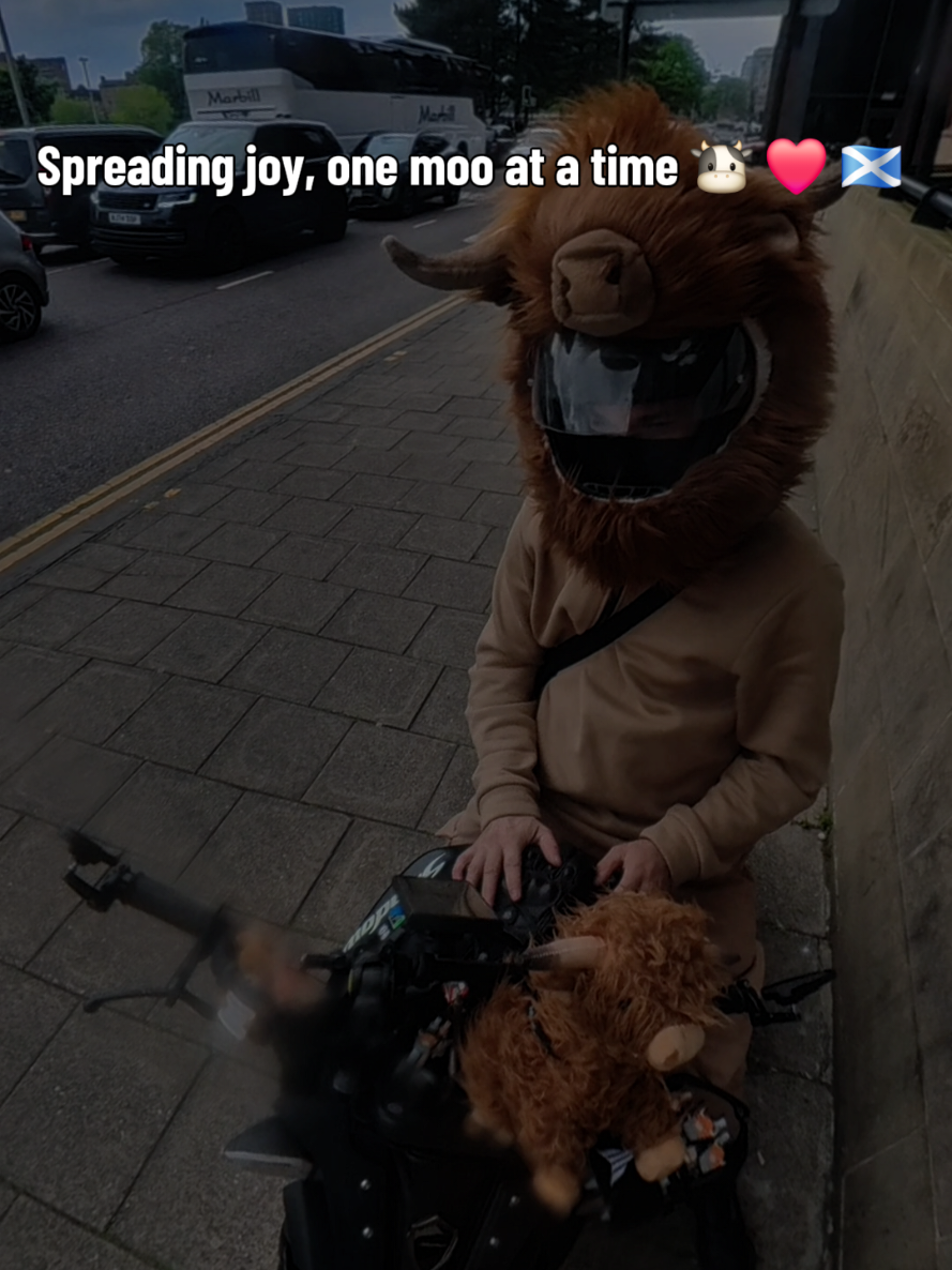 @Highland Cow Rider 🐮🏍