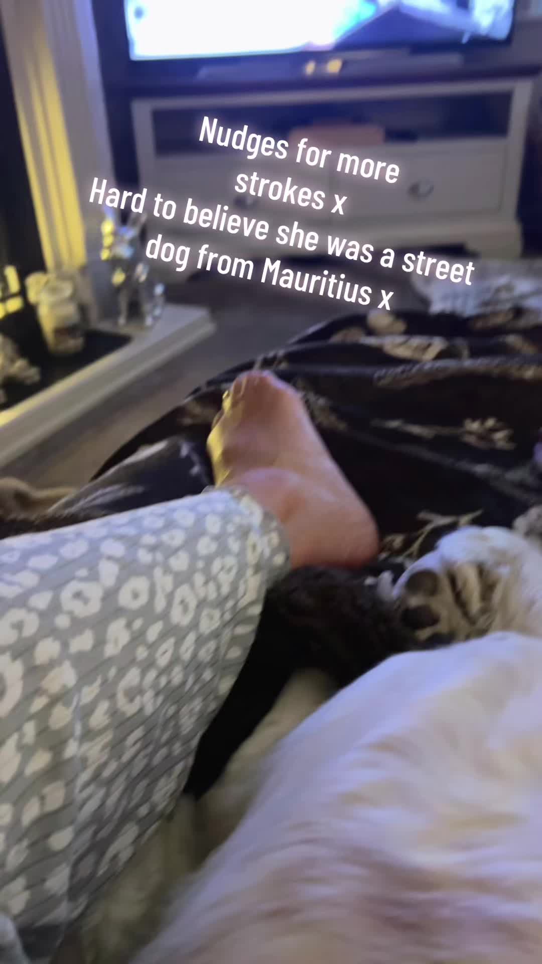 @jacquelinegath23