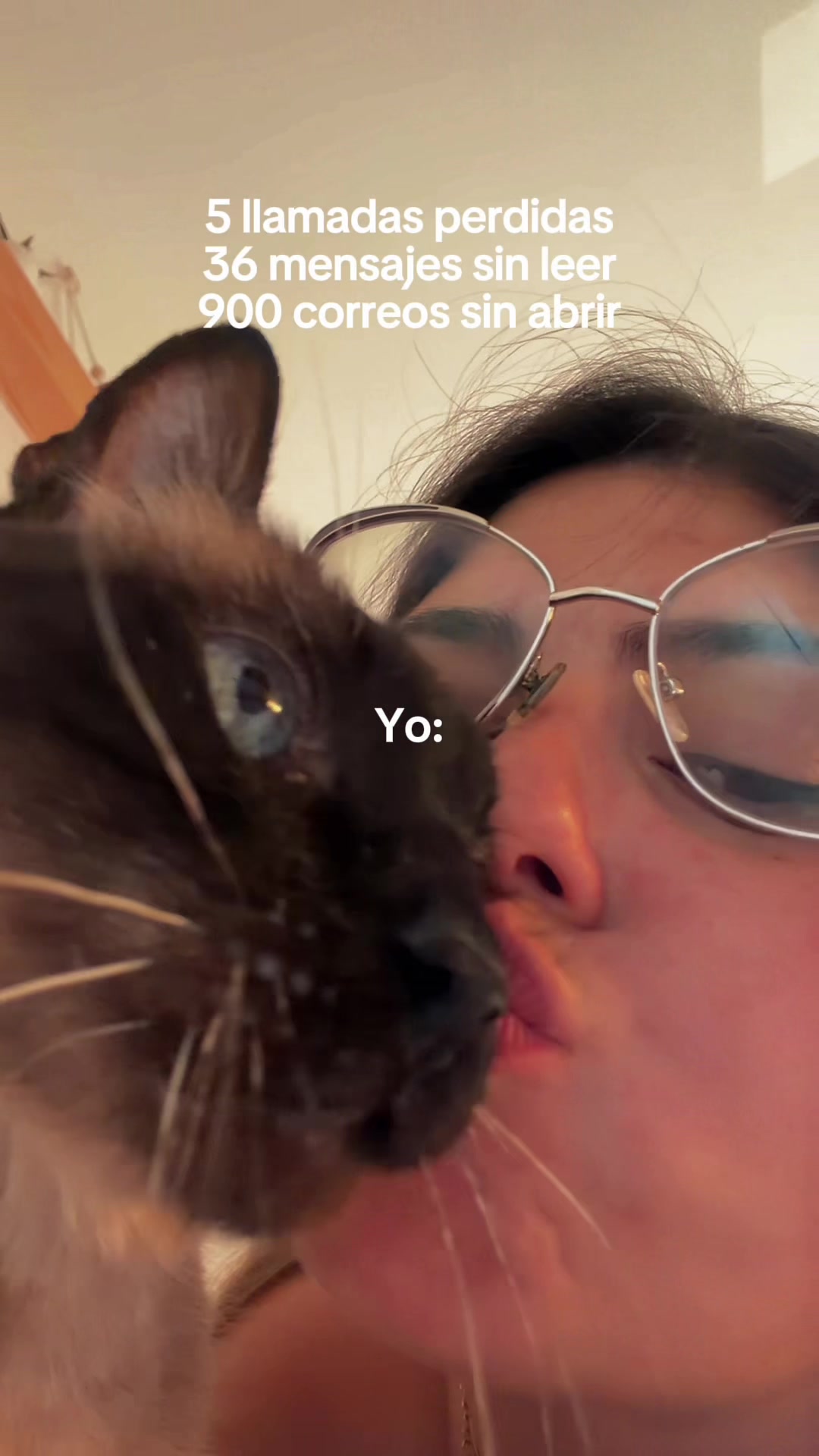 @Carmen 📖🐱💖