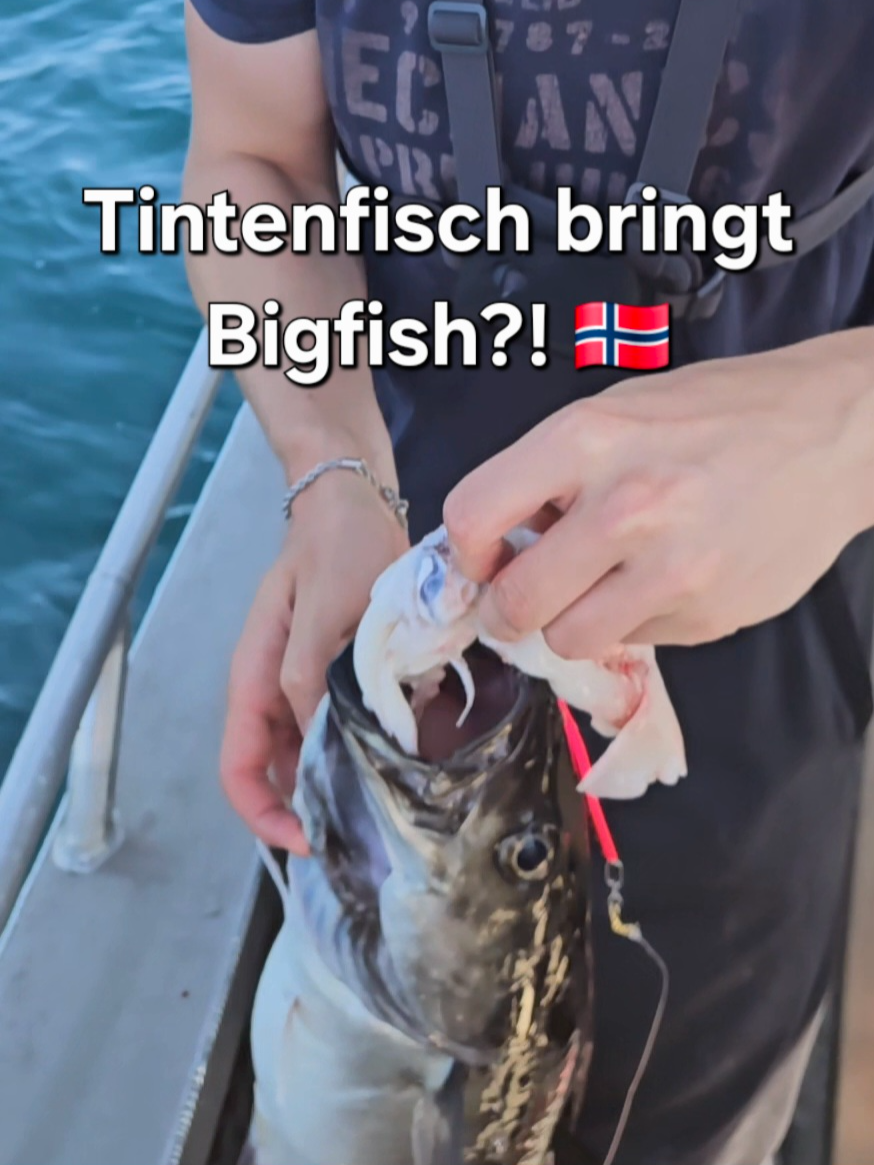 @Spinnbros