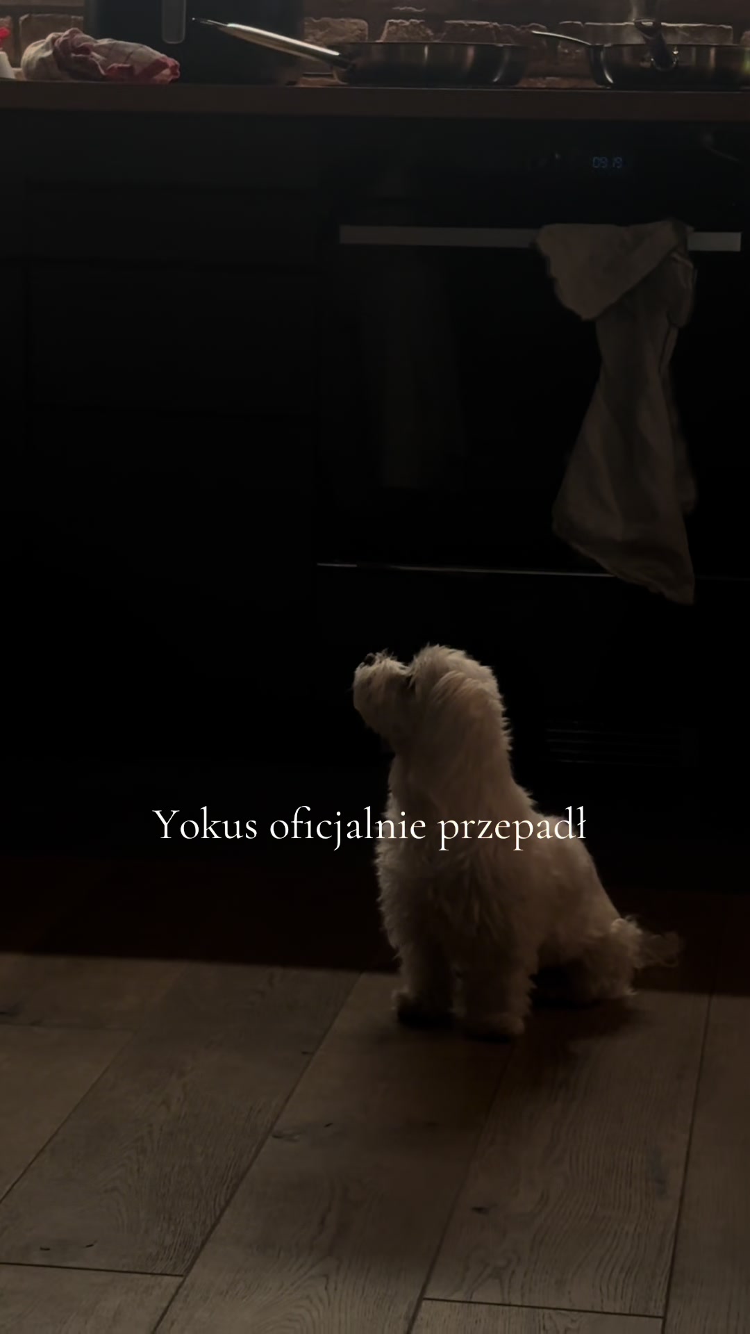 @polaczm